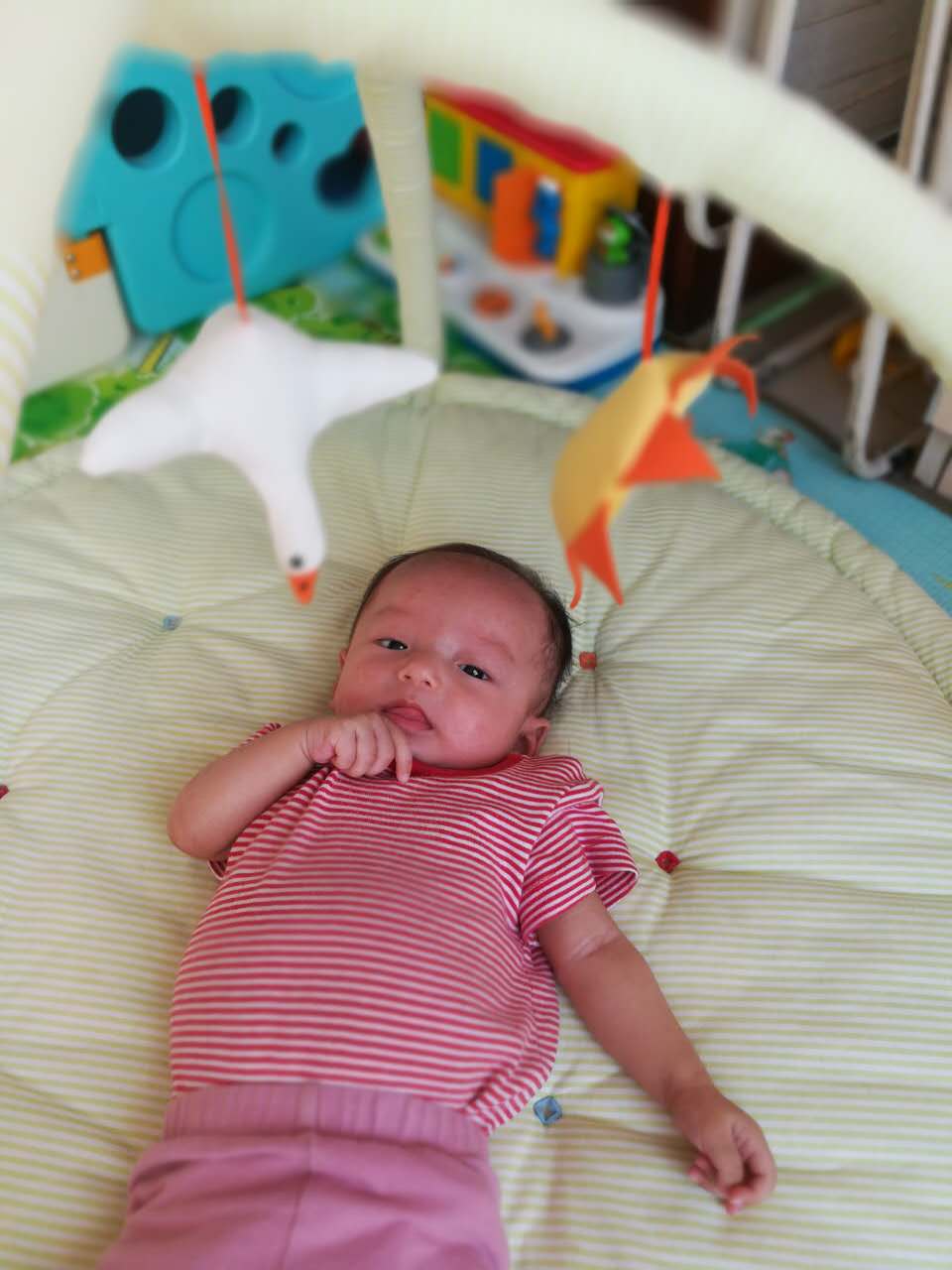 1514806178961631.jpg 微信图片_20171011150337.jpg