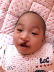 1517371578871221.png 长春项目发展简况-20171133.png