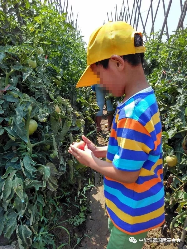 1521127884110410.jpg 640.webp (13).jpg