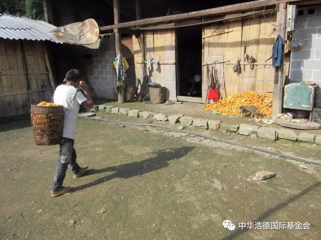 1521128324971829.jpg 微信图片_20180315233644.jpg