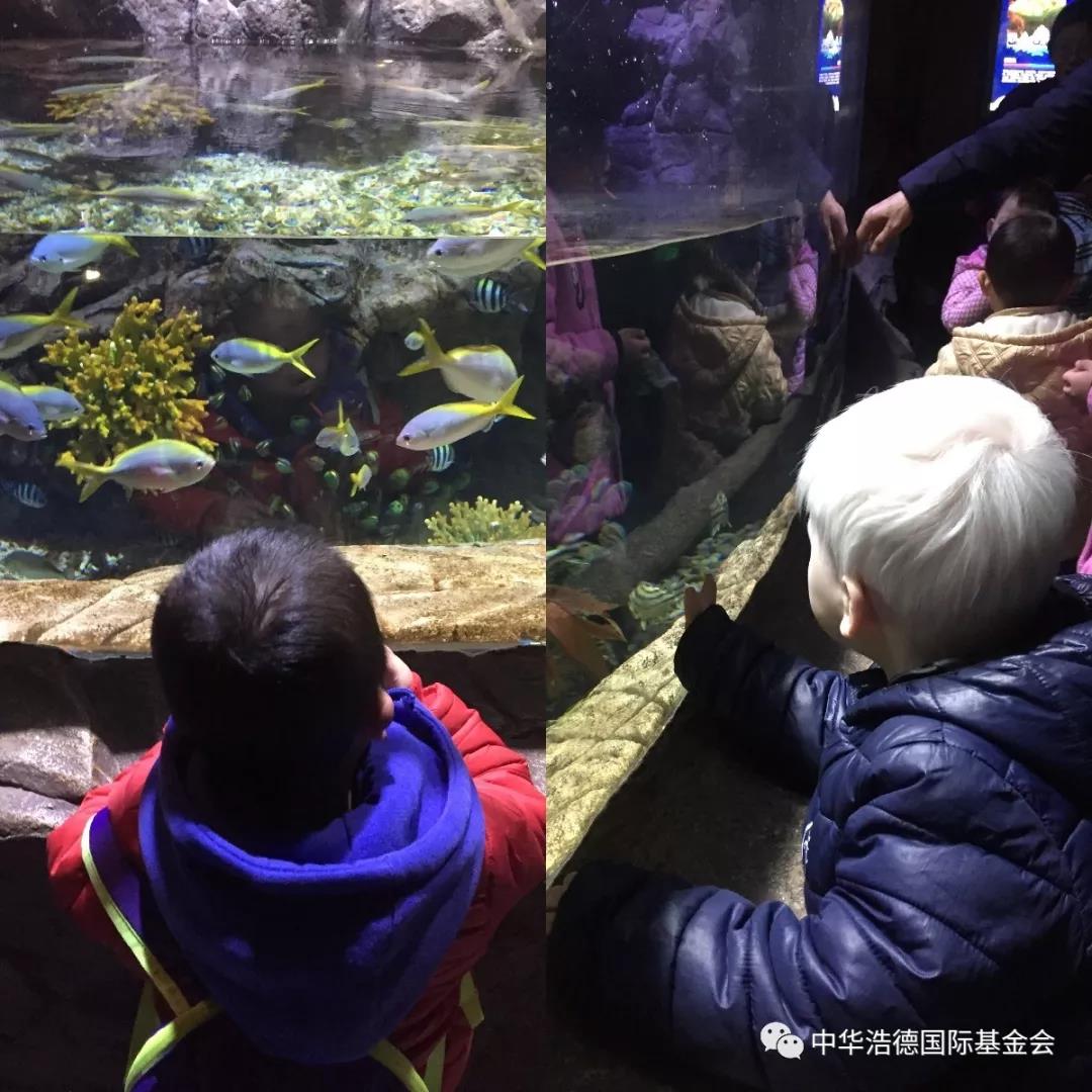 1552539338114950.jpg 微信图片_20190314125333.jpg