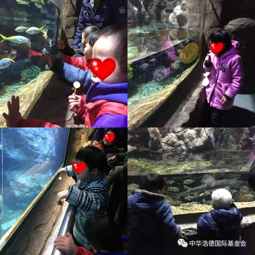 1552539348183315.jpg 微信图片_20190314125337.jpg