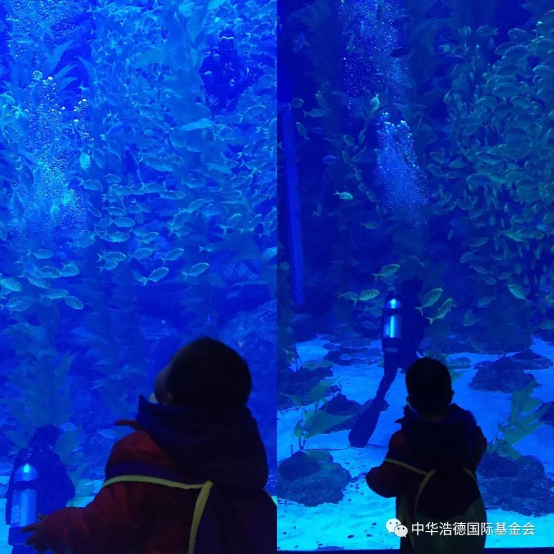 1552539360140240.jpg 微信图片_20190314125341.jpg