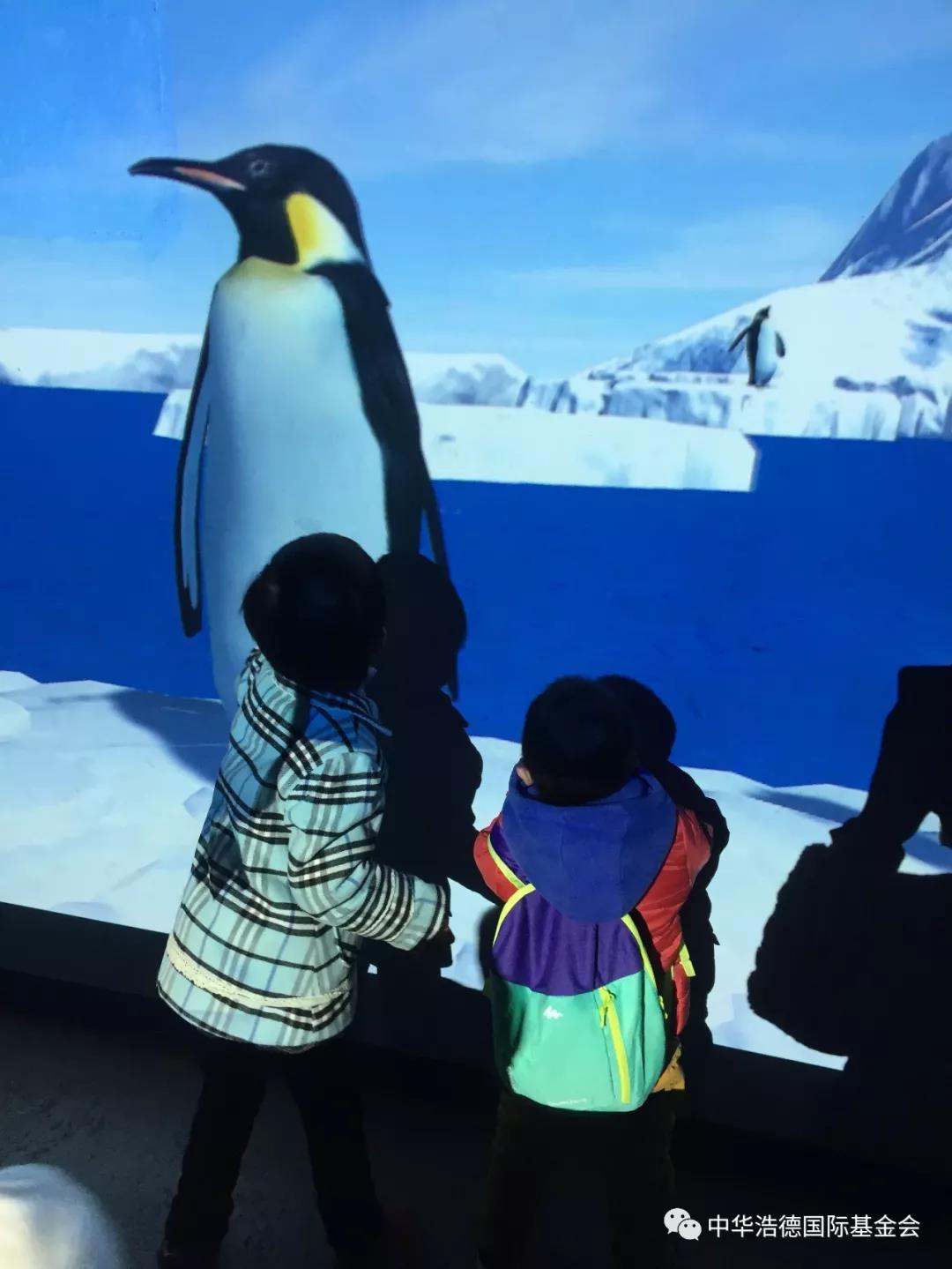 1552539403828749.jpg 微信图片_20190314125353.jpg