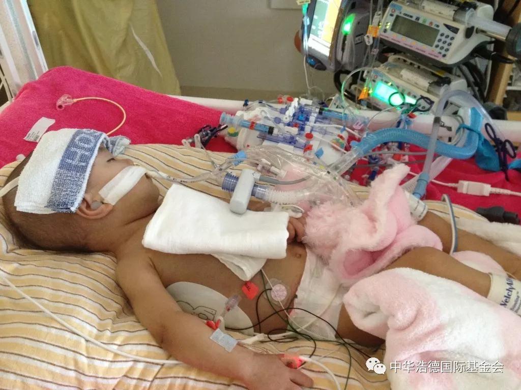 1558013006312324.jpg 微信图片_20190516212257.jpg